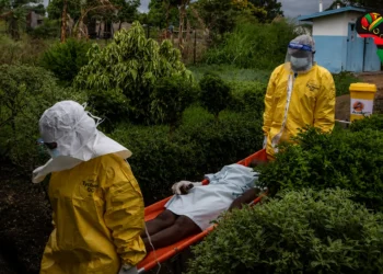 medical treatment taking growing in Congo