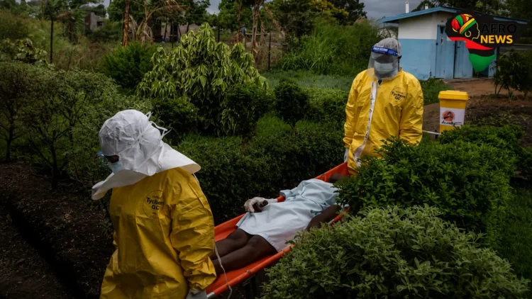 medical treatment taking growing in Congo