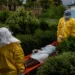 medical treatment taking growing in Congo