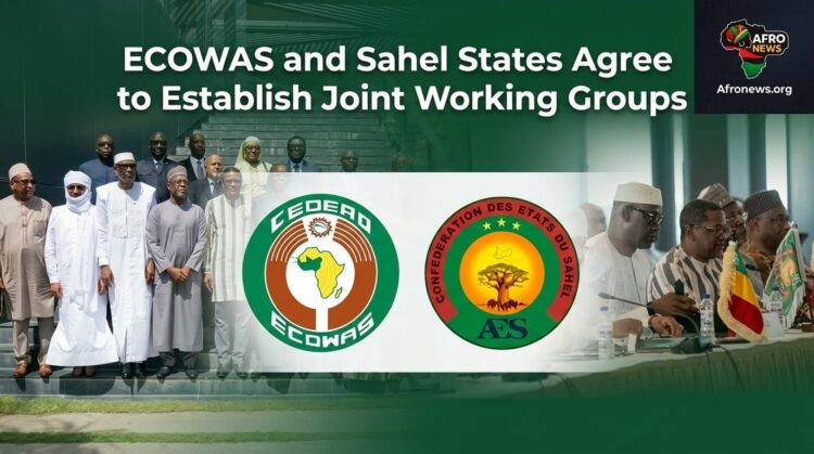 ECOWAS and Sahel States Agree to Establish Joint Working Groups